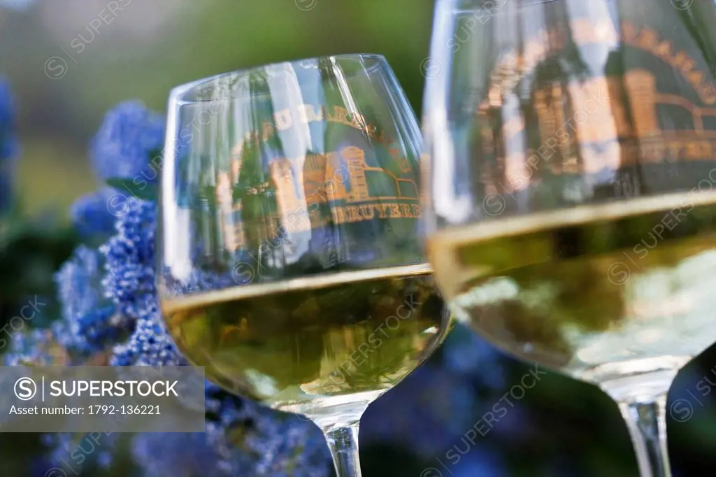 France, Bouches du Rhone, Cassis, Cassis AOC Clos Val Bruyere, tasting the wine Kalahari