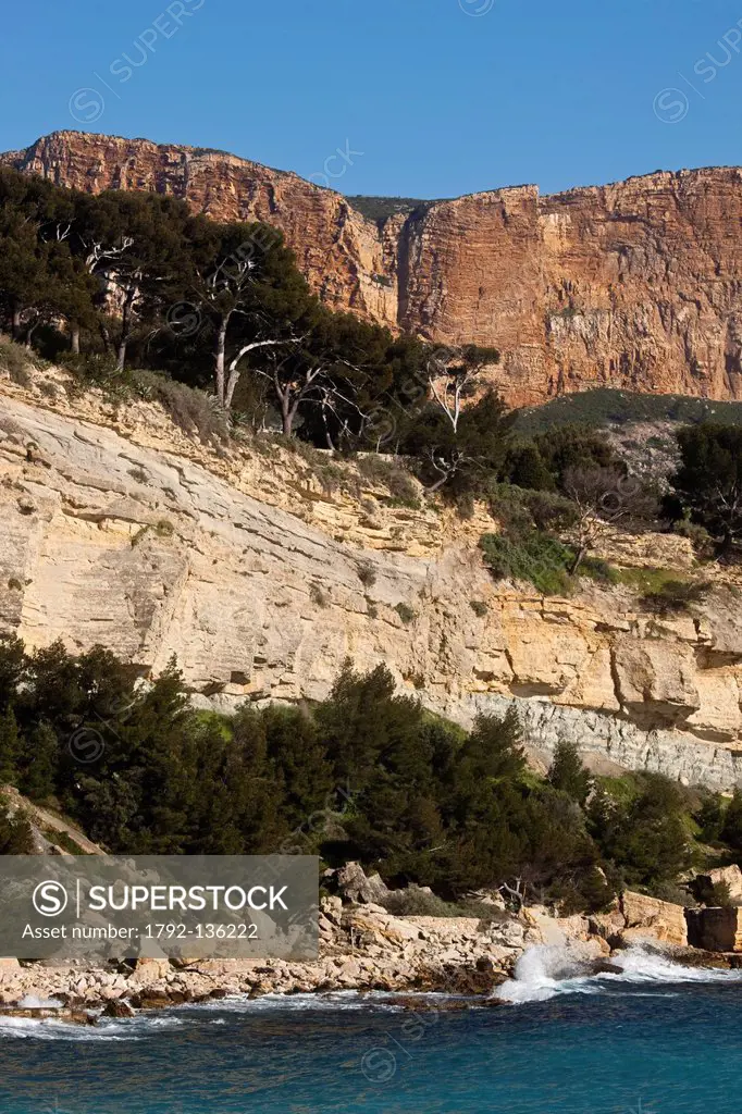 France, Bouches du Rhone, Cassis, the cliffs of Cape Dirty dominate the sea