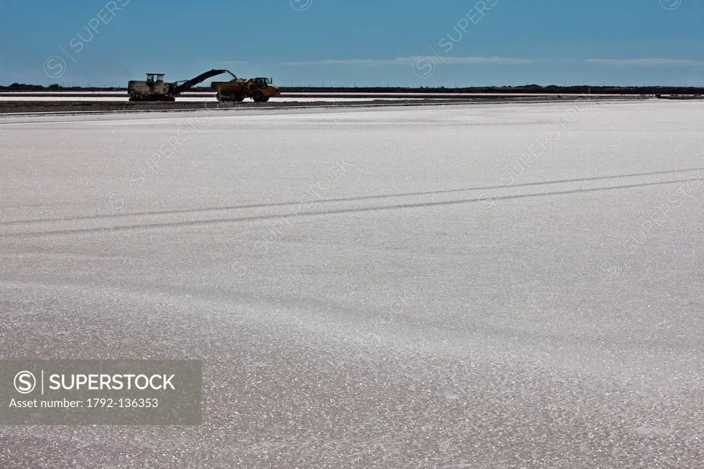 France, Bouches du Rhone, Salins de Giraud, exploitation of salt, the group operates Salins du Midi salt marshes which produce near one million tons o...