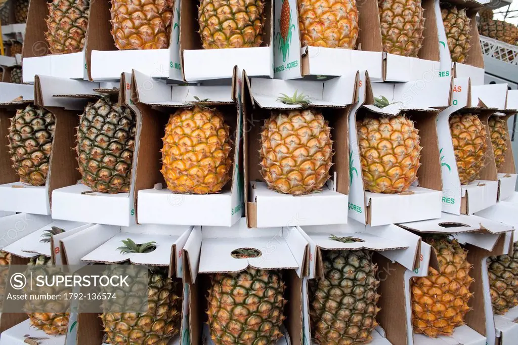 Portugal, Azores islands, Sao Miguel island, covered market in Ponta Delgada, display of pineapples from the Azores