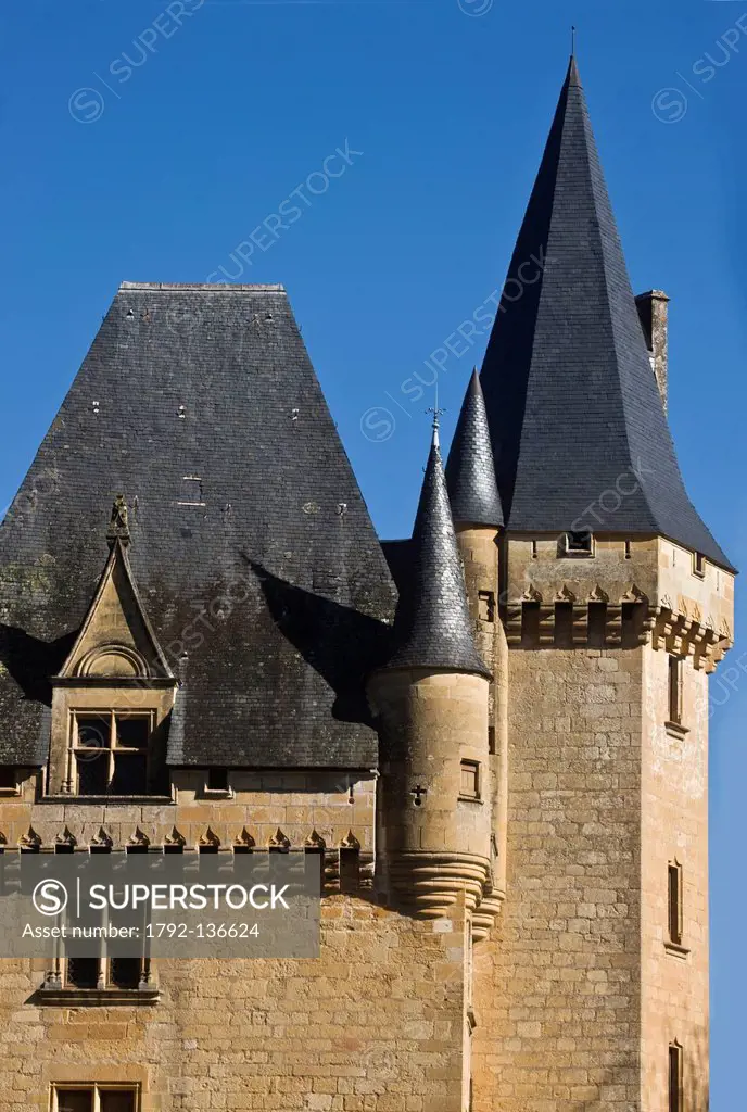 France, Dordogne, Valley of the Vezere, Perigord Black, Saint Le on sur Vezere, Castle Cle rans