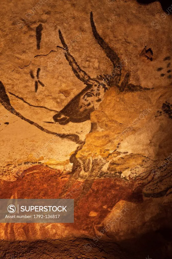 France, Dordogne, Black Perigord, Montignac, Lascaux II, decorated with Paleolithic caves, Taurus