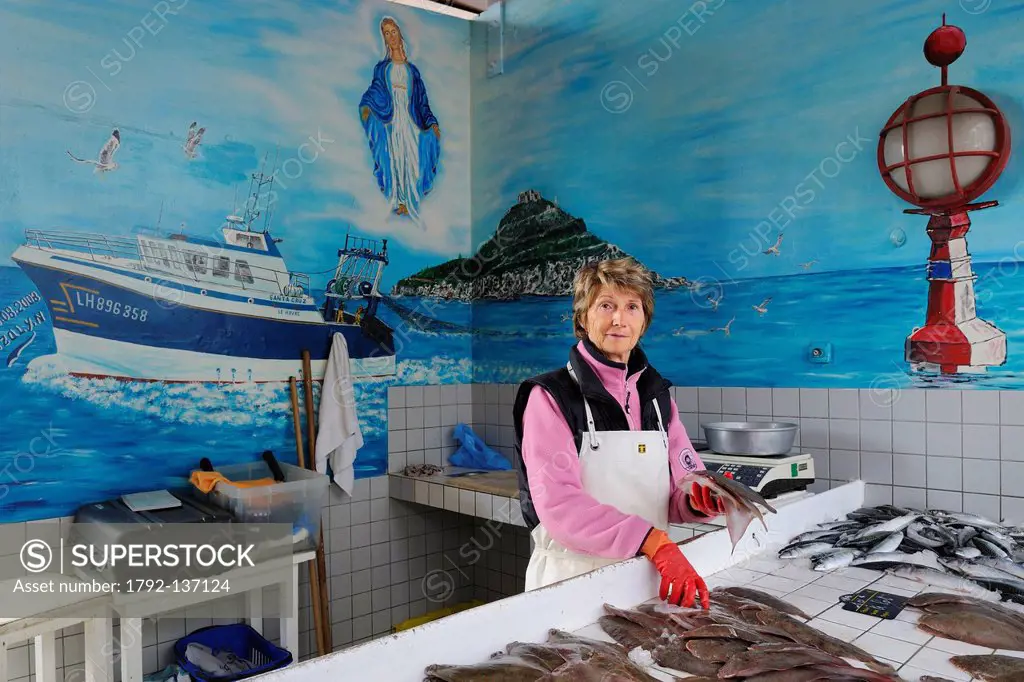 France, Seine Maritime, Le Havre, fishing port, Fish Market practicing direct sale