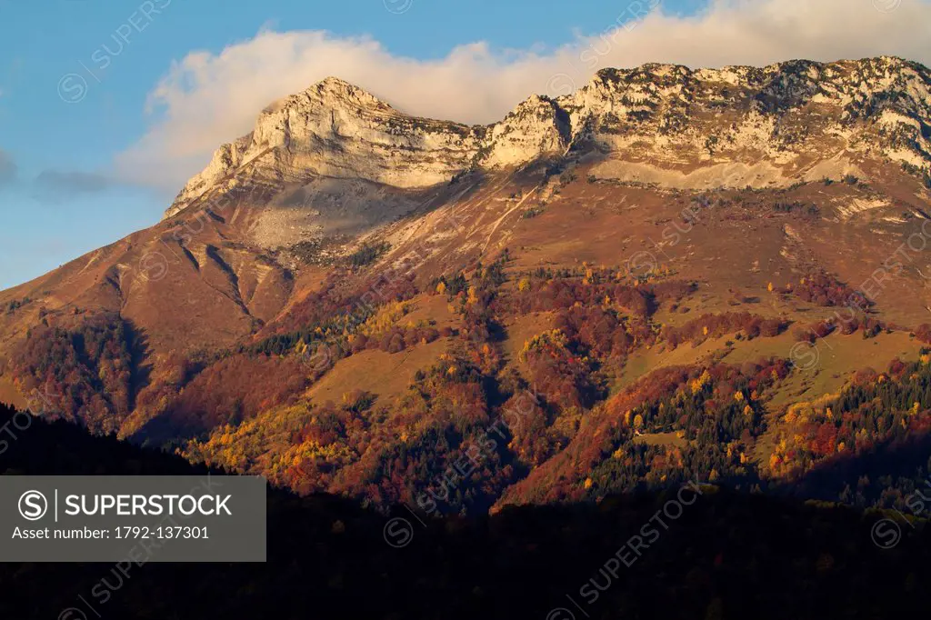 France, Savoie, Parc Naturel Regional du Massif des Bauges Natural Regional Park of Massif des Bauges, the mount Colombier 2045m