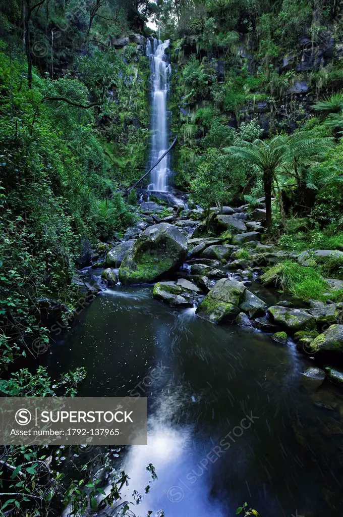 Australia, Victoria, Great Ocean Road, Great Otway National Park, Lorne, Eskrine waterfalls, 30 meters height