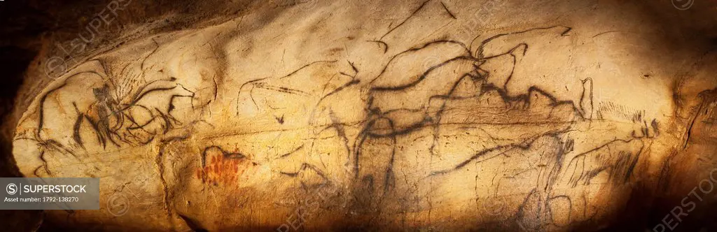 France, Lot, Cabrerets The cave of Pech Merle is a prehistoric painted cave, The frieze combining a black horse, bison and mammoths