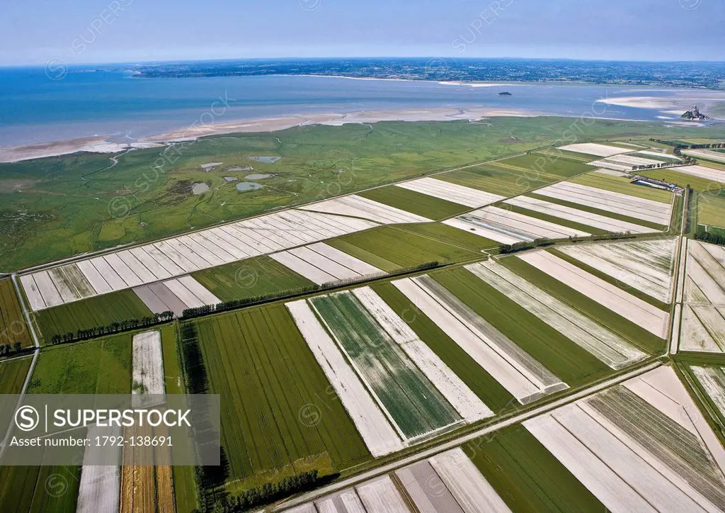 France, Manche, Bay of Mont Saint Michel, listed as World Heritage by UNESCO, Mont Saint Michel, polders area aerial view