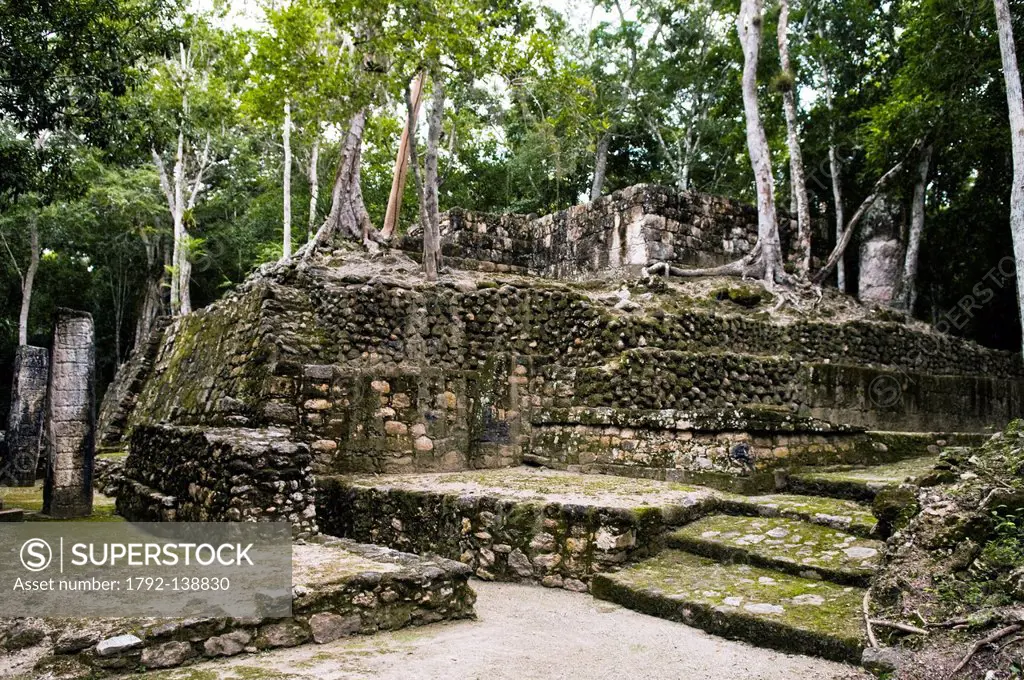 Mexico, Yucatan state, Mayan archaeological site of Calakmul said Head of the Serpent, listed as World Heritage by UNESCO and the heart of the Natural...