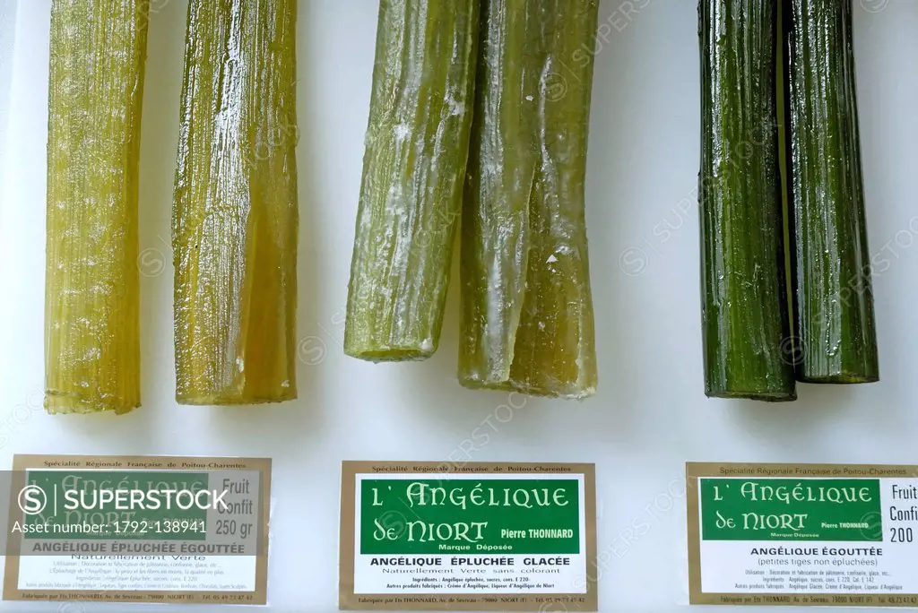 France, Deux Sevres, Niort, Thonnard institutions, manufacturing, stems candied Angelica Angelica archangelica