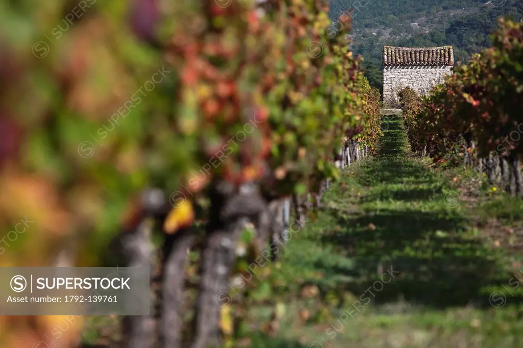 France, Lot, Caillac, the AOC Cahors in the fall and shed a winegrower