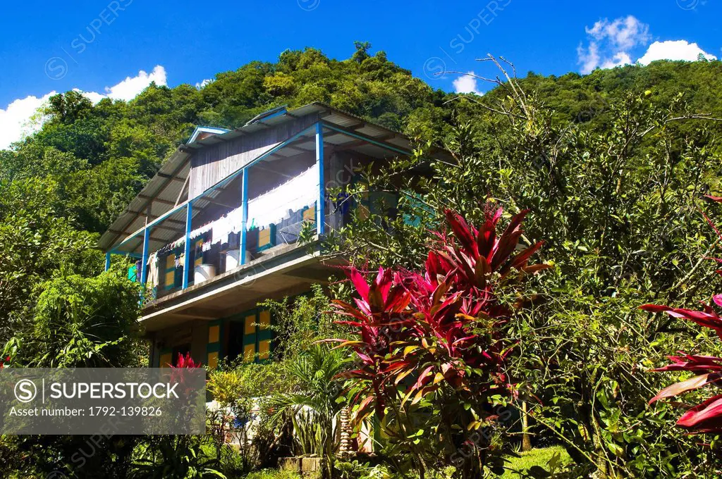 Dominica, Southern area of the island, Grand Bay Berekua, small village of Geneva, Hideout Cottage, guest house of the Rasta couple Rahel and Octave J...