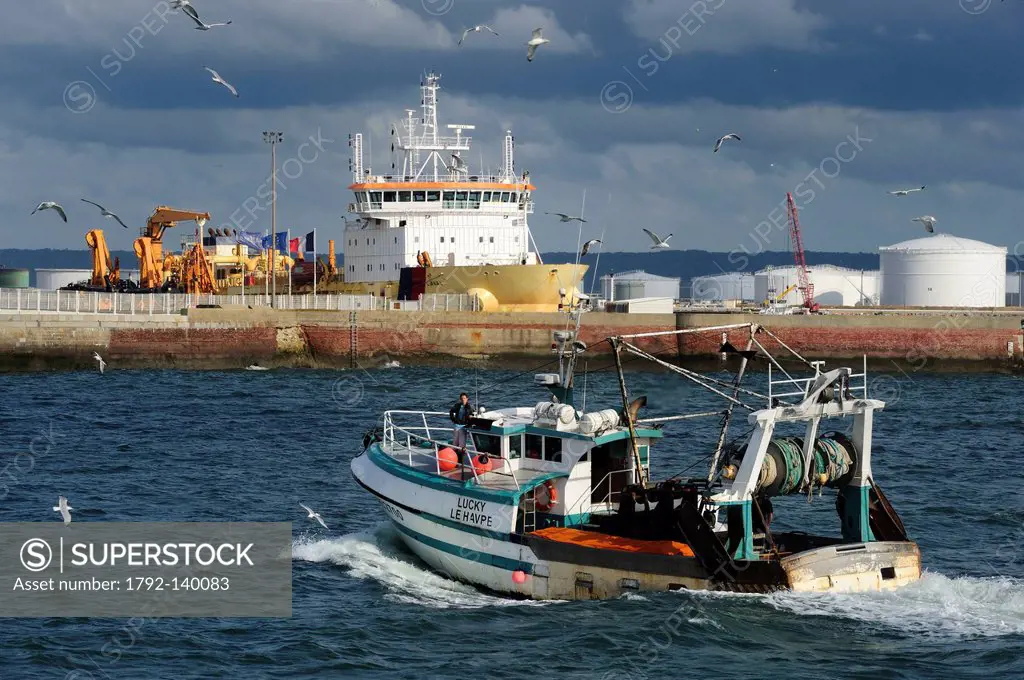 France, Seine Maritime, Le Havre, fishing boat returning to port followed by a flock of seagulls