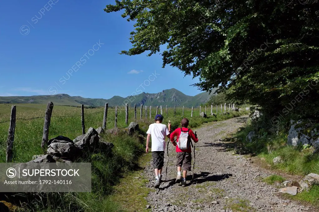 France, Puy de Dome, Parc Naturel Regional des Volcans d´Auvergne Regional Nature Park of Auvergne Volcanoes, Massif du Sancy, young hikers in the Nat...