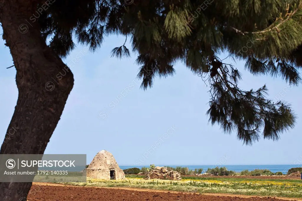 Italy, Puglia, Bari province, Polignano a Mare, San Vito, field with trullo old dry stone building with slate roof
