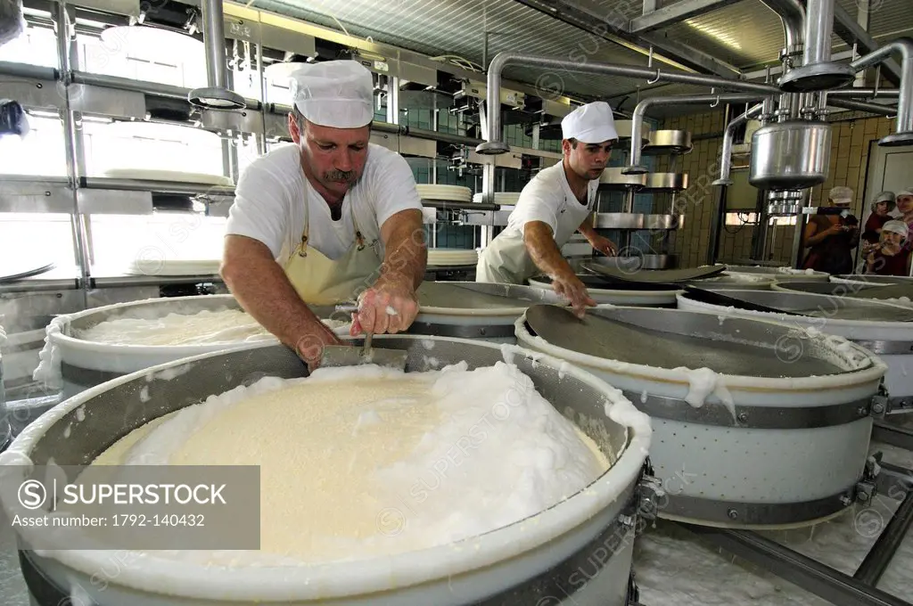 France, Doubs, Le Russey, cheese or fruit County, manufacturing County, panning, laying of the casein to the traceability