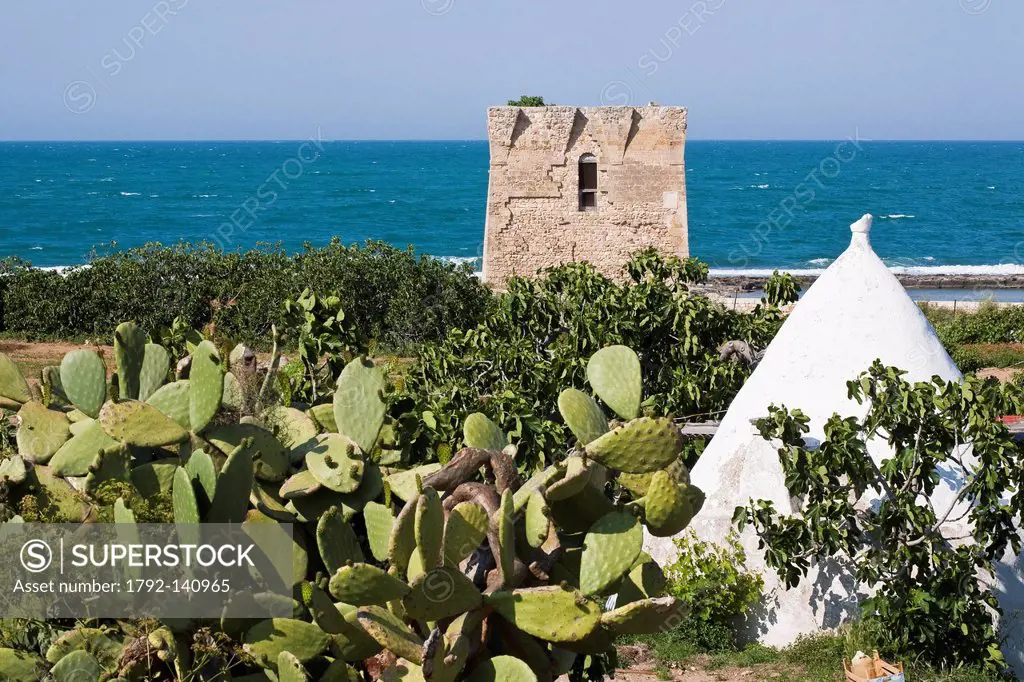 Italy, Puglia, Bari province, Polignano a Mare, San Vito, whitewashed trullo old dry stone building with slate roof with 16th century watch tower in t...