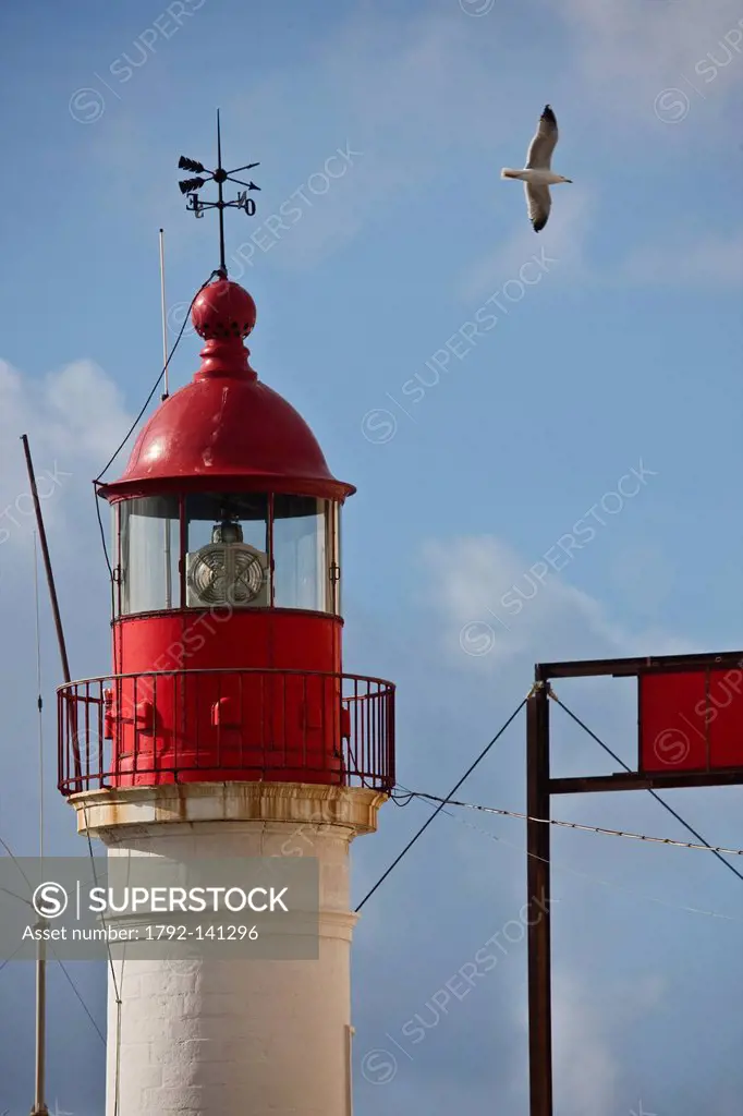 France, Corse du Sud, Ajaccio, semaphore and lighthouse fishing port