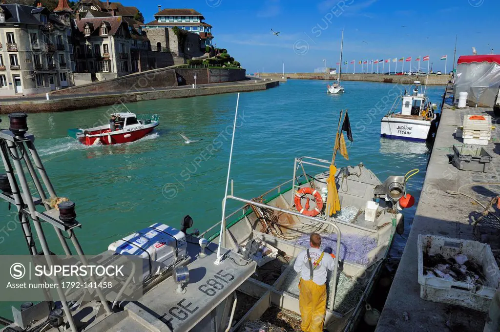France, Seine Maritime, Saint Valery en Caux harbour, unloading of the catch of the day