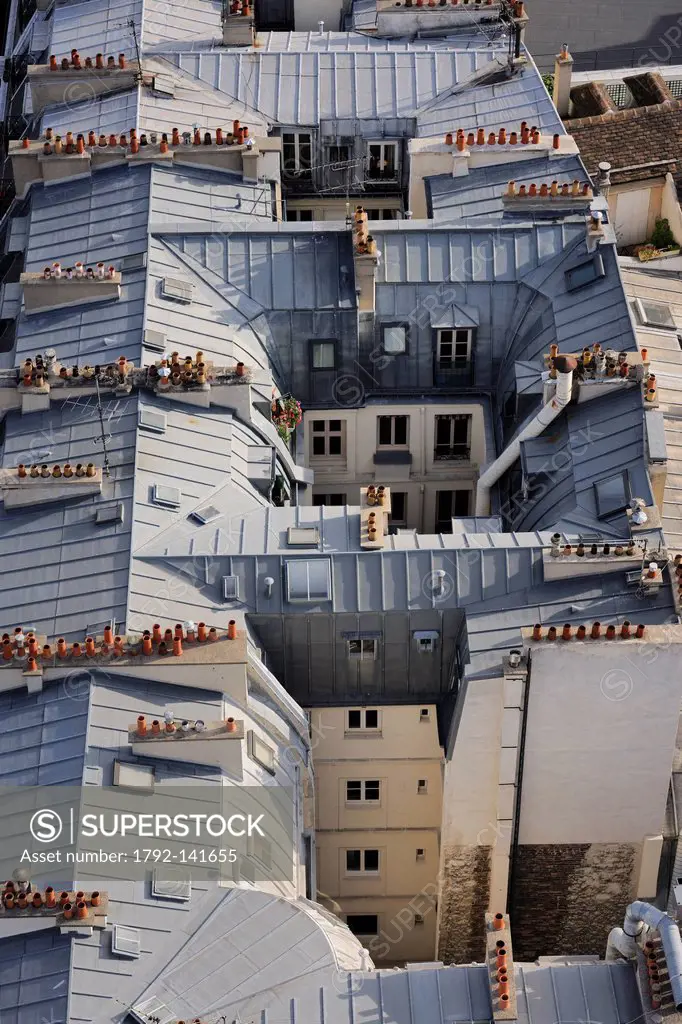 France, Paris, Ile de la Cite, tin roofing of Haussmann buildings