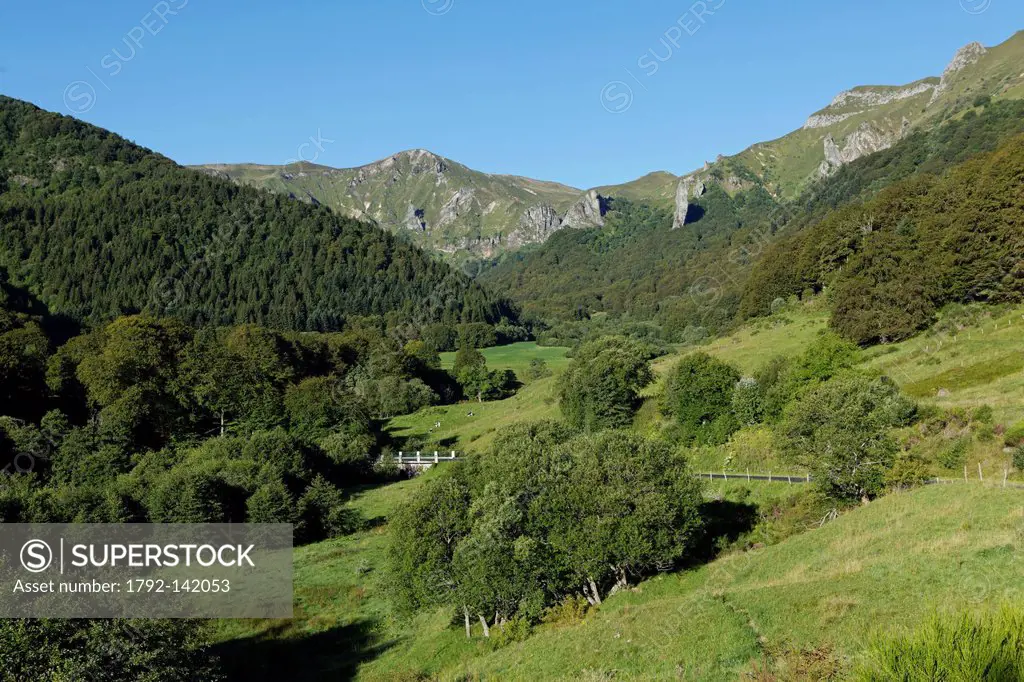France, Puy de Dome, Parc Naturel Regional des Volcans d´Auvergne Regional Nature Park of Auvergne Volcanoes, Natural Reserve of Chaudefour Valley