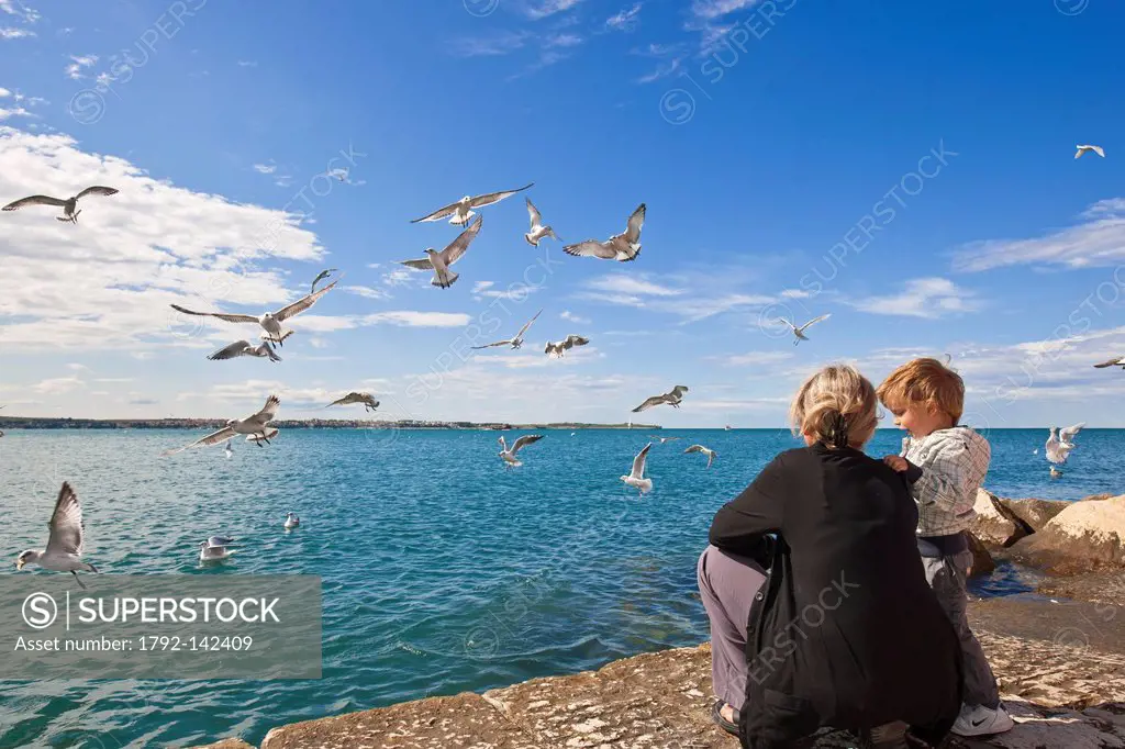 Slovenia, Gulf of Trieste, Adriatic Coast, Primorska Region, Piran, tourists feeding the seagulls