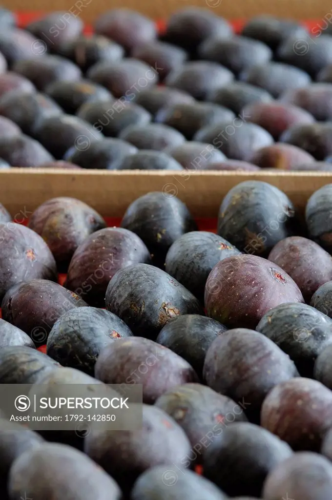 France, Var, Sollies Pont, Cooperative Copsolfruit, crates of figs Sollies AOC since 2006 Ficus carita, September