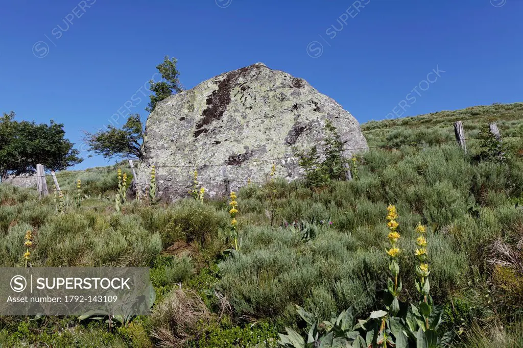 France, Puy de Dome, Parc Naturel Regional des Volcans d´Auvergne Regional Nature Park of Auvergne Volcanoes, Massif du Sancy, typical landscape of th...