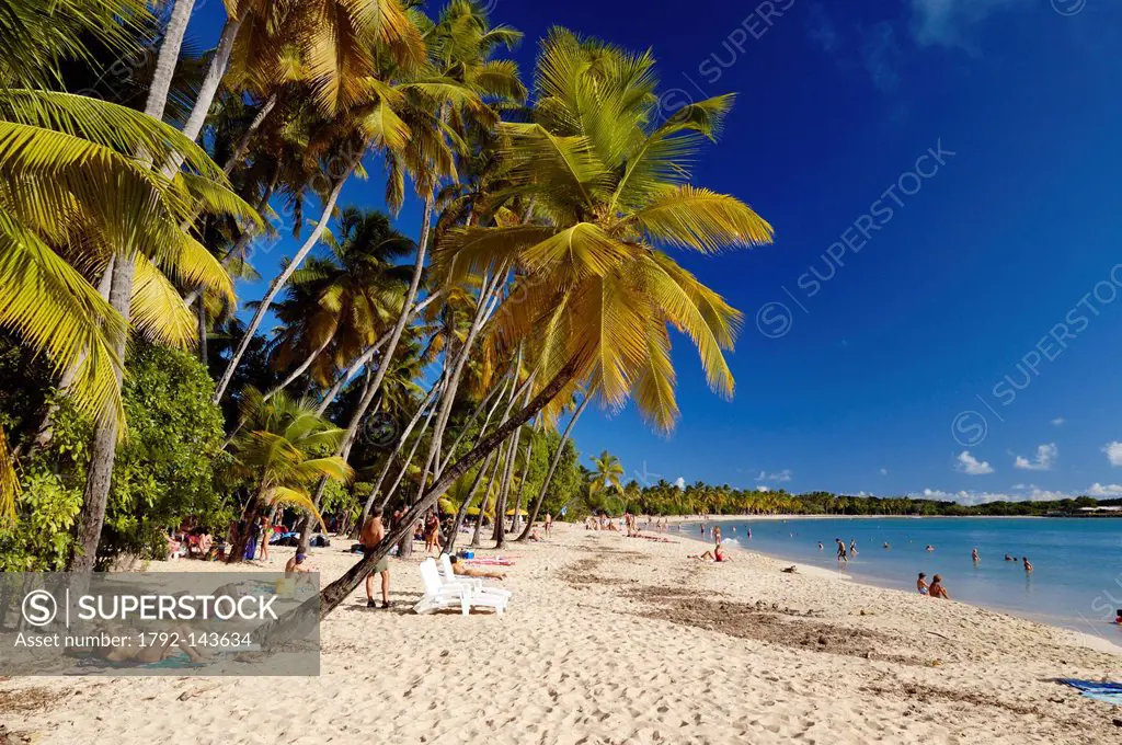 France, Martinique French West Indies, Sainte Anne, Anse des Salines, tourists and vacationers under the coconut trees of the Salines beach
