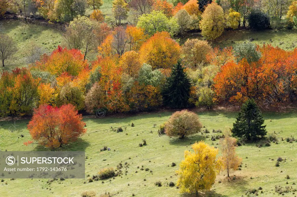 France, Savoie, Parc Naturel Regional du Massif des Bauges Natural Regional Park of Massif des Bauges, chain of Revard, autumnal forest