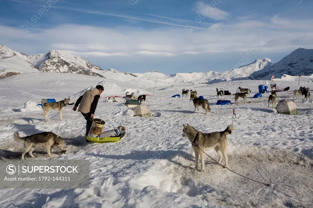 France, Hautes Alpes, Orcieres Merlette, dog sledding on the Rocherousse plateau