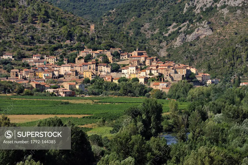 France, Herault, Orb Valley, village of Roquebrun in the distance and AOC Saint Chinian and Roquebrun