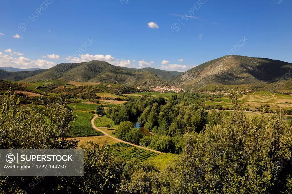 France, Herault, Orb Valley, village of Roquebrun in the distance and AOC Saint Chinian and Roquebrun