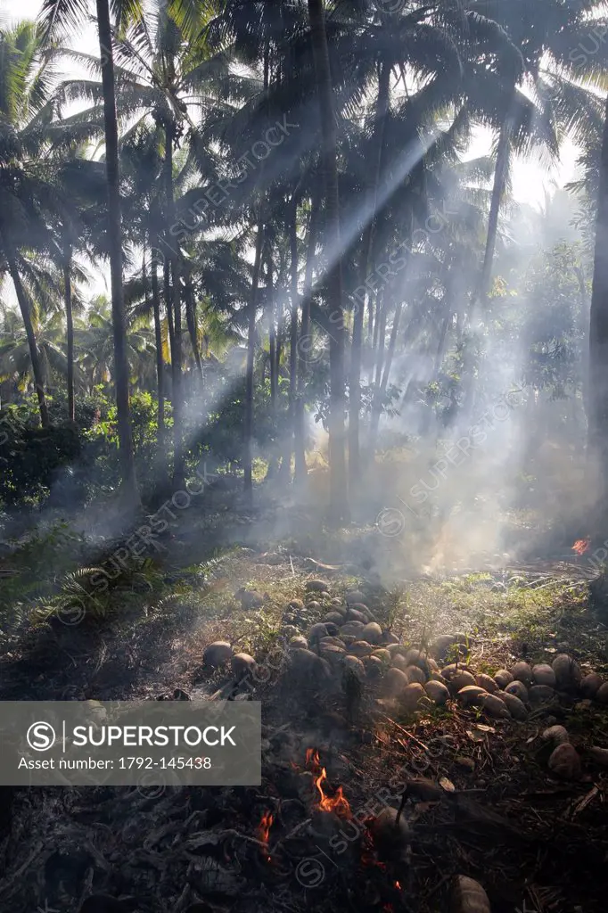 Vanuatu, Malampa Province, Malekula Island, Lokatoro, burning of coconut shells
