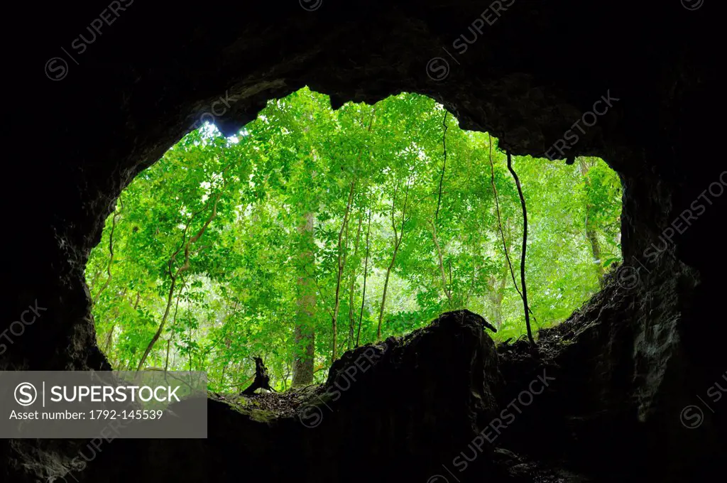 Dominican Republic, Samana peninsula, Taino Cave in the Haitises National Park