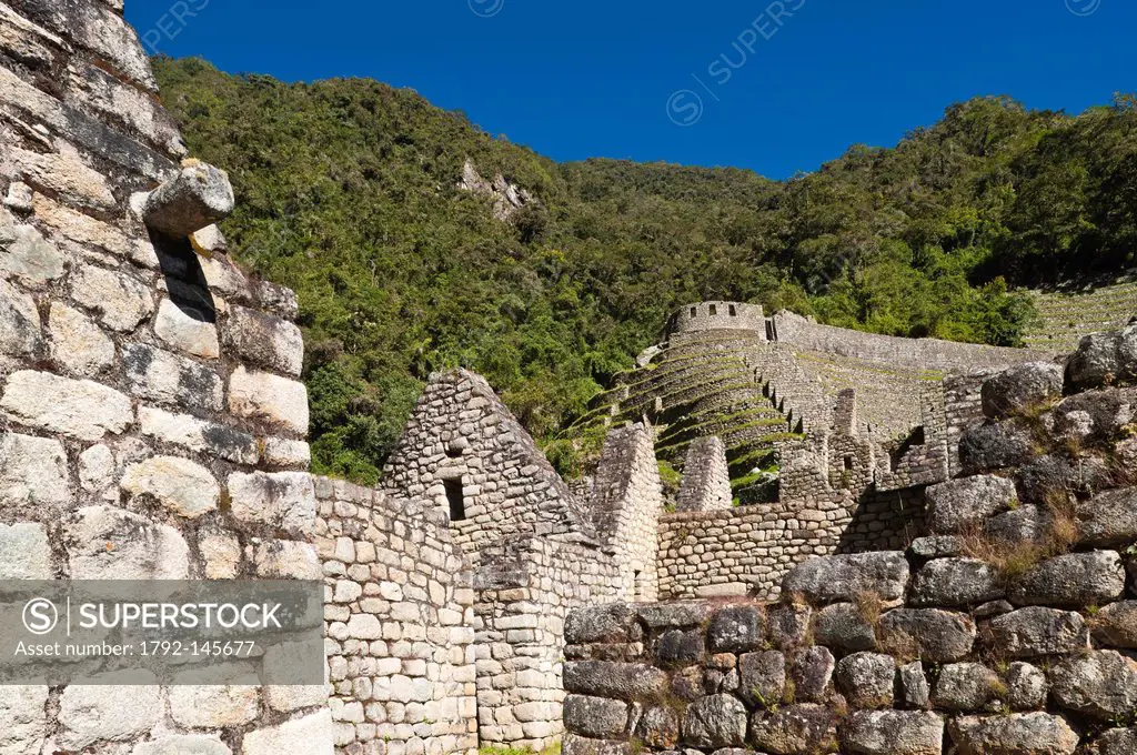 Peru, Cuzco Province, Inca Path, trek which leads to the Inca archeological site of Machu Picchu, listed as World Heritage by UNESCO, Winay Wayna farm...