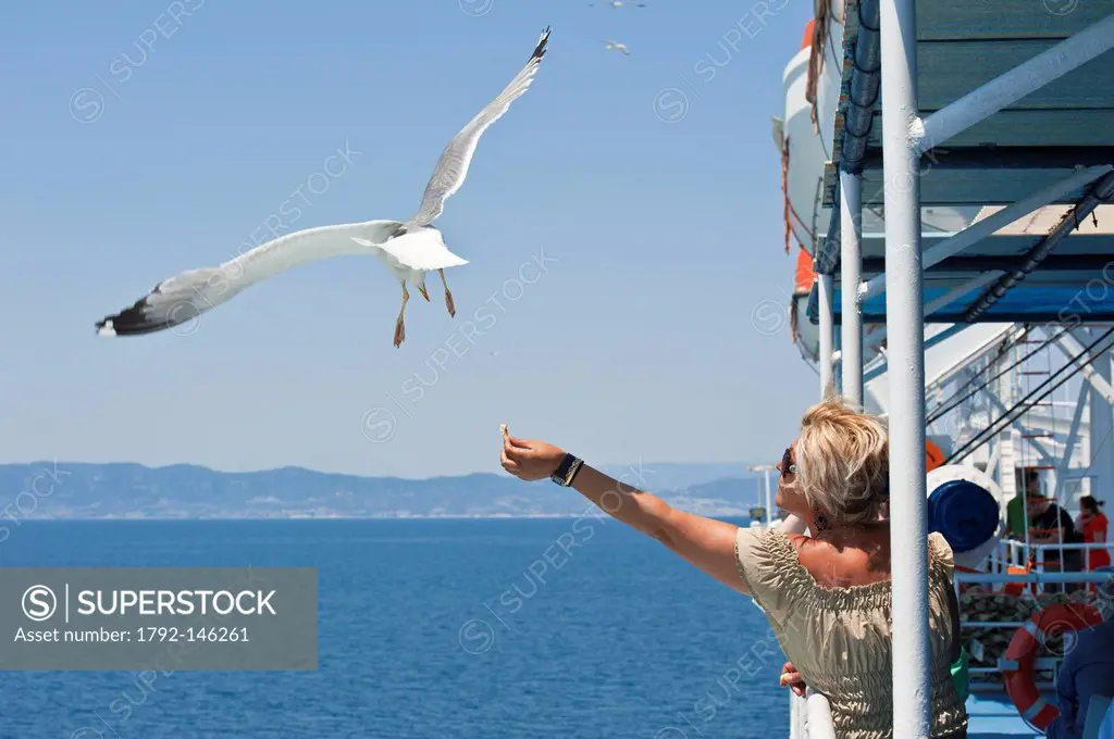 Greece, seagulls flying with the ferry to the islands of the Egean sea