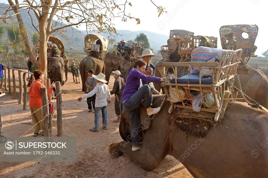 Laos, Sainyabuli Province, Ban Nam Thap, start trek by elephant