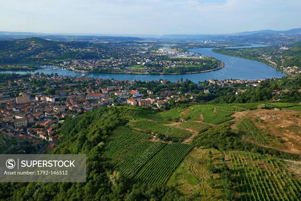 France, Rhone, Condrieu, Cote Rotie AOC vineyard, the substance of the Rhone and the department of Isere aerial view
