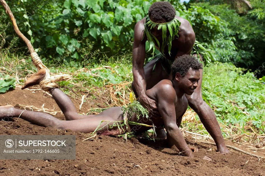 Vanuatu, Penama Province, Pentecost Island, Lonorore, Naghol, traditional land diving, rite of passage from childhood to adulthood, man landing after ...