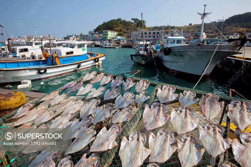 South Korea, South Jeolla Province, Heuksando Harbour, squid drying in the sun and fishing boats in the background