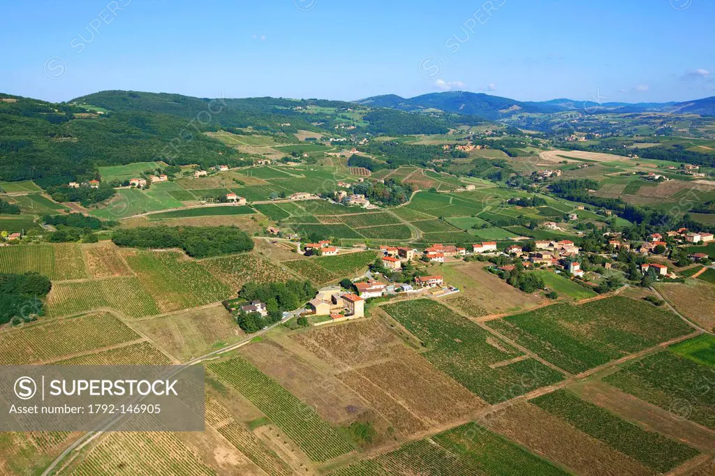 France, Rhone, Beaujolais, Les Pierres Dorees, near Theize, vine aerial view