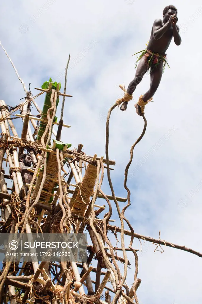 Vanuatu, Penama Province, Pentecost Island, Lonorore, Naghol, traditional land diving, rite of passage from childhood to adulthood, man jumping into s...