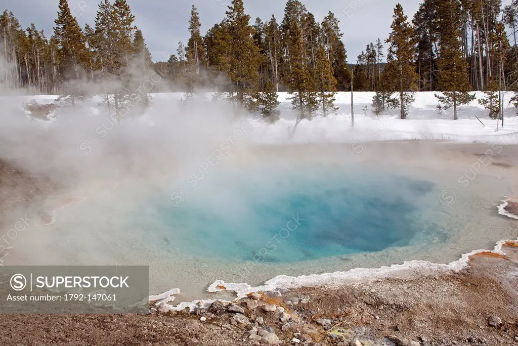 United states, Wyoming and Montana States, Yellowstone National Park, listed as World Heritage by UNESCO, landsape, geyser of the Lower Geyser Basin o...