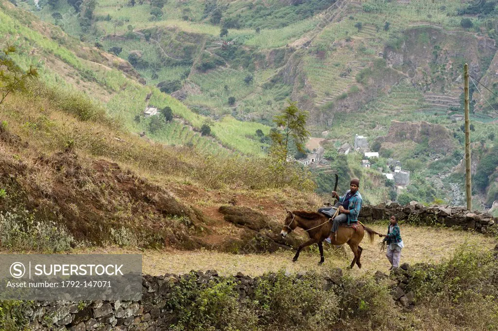Cape Verde, Santo Antao island, a man holding a machete and a child go back up on horseback towards Cova with a mule