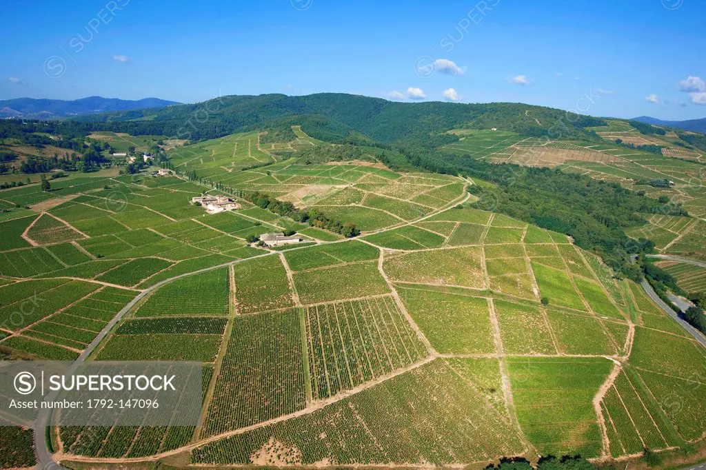 France, Rhone, Beaujolais, around Mont Brouilly, vine aerial view
