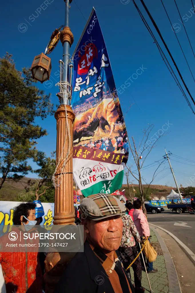 South Korea, North Gyeongsan Province, Cheongdo, Korean man in front of a poster advertising a bullfighting festival