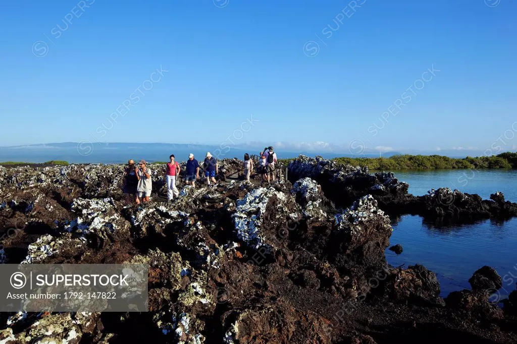 Ecuador, Galapagos Islands, listed as World Heritage by UNESCO, Isabela Island, Puerto Villamil, Tintoreras island, tourists hike