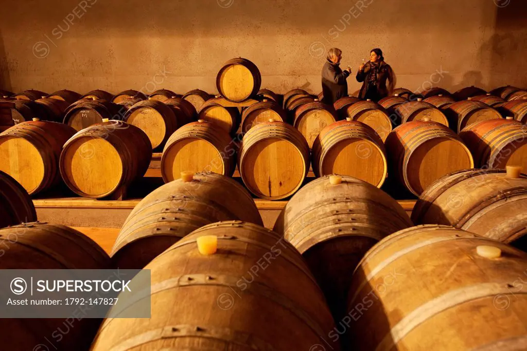France, Corse du Sud, Tarabucetta, AOC Figari, Domaine du Clos Canarelli, Simon Canarelli winemaker, wine tasting in the cellar