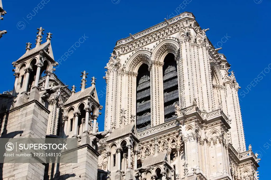 France, Paris, Ile de la Cite, Notre Dame Cathedral, one of the towers from the Norther facade