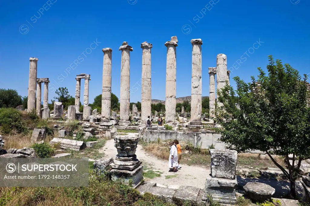 Turkey, Aegean region, Aphrodisias, the ancient city, the temple of Aphrodite